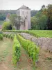 格弗里城堡-张伯丁 - 俯瞰Côte de Nuits葡萄园葡萄园的中世纪堡垒