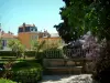 格拉斯 - 用花装饰的庭院和五颜六色的房子在背景中