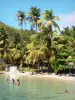 桑特人 - 小面包的糖面包及其沙滩，椰子树和透明的水域