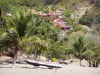 桑特人 - 俯瞰Anse du Figuier和椰子树海滩的房子