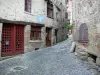 比洛姆 - 中世纪小镇（中世纪区）：铺有石头房屋的倾斜铺砌的小巷;在Livradois-Forez地区自然公园