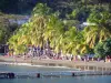沸腾 - 旅游、度假及周末游指南瓜德罗普岛