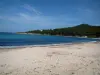 沿海景观科西嘉岛 - CôtedesNacres：Favone海湾，沙滩，地中海和森林覆盖的海岸
