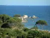 沿海景观科西嘉岛 - 灌木，伞松，岩石在地中海