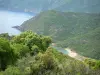 沿海景观科西嘉岛 - 树木，海滩和悬崖俯瞰地中海