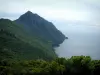 沿海景观科西嘉岛 - 俯瞰地中海的山和树木的悬崖