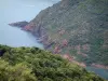 沿海景观科西嘉岛 - 树木，悬崖和地中海