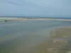沿海景观科西嘉岛 - 流入有一个小沙丘的海的河