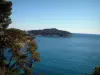 法国里维埃拉的海岸的风景 - Cap Ferrat和大海