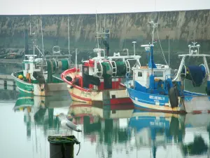 波尔尼克 - 海鸥（海鸟）在前景和五颜六色的拖网渔船，在Noëveillard港口