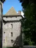 波美城堡 - 城堡门面的细节;在Prinsuéjols镇