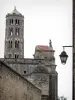 泽斯 - Fenestrelle罗马式塔（旧罗马式大教堂的遗骸），圣Theodorit大教堂和路灯柱