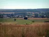 洛林的风景 - 稻草包，房屋，树木和森林的田野