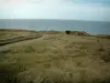 海角灰鼻 - 蛋白石海岸：植被和悬崖顶部的路径，背景中的海洋（地区自然公园的帽子和蛋白石沼泽）