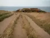 海角灰鼻 - 蛋白石海岸：背景中的路径，植被，碉堡和海洋（地区自然公园的帽子和蛋白石沼泽）