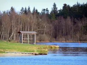湖Devesset - 水の塊と木が植えられた土手
