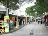 滨海阿尔热莱 - 巷子里排满了商店和松树