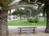 滨海阿尔热莱 - 棕榈树和松树包围的长凳