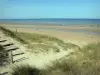 犹他州海滩 - Dunes-de-Varreville（D-Day海滩）：oyats，海滩和Manche