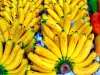 瓜德罗普岛和马提尼克岛的香蕉 - 美食指南、度假及周末游海外大区