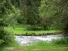 瓦尔*德*穆特 - 杜河，河岸和树木;在Haut-Jura区域自然公园