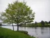 瓦西维耶尔湖 - 岸边，树木和人工湖
