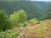 画家的岩石遗址