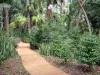 留尼旺植物园 - 留尼旺植物群的探索之旅