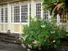 留尼旺植物园 - 克里奥尔人的房子和灌木盛开