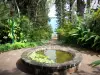 留尼旺植物园 - 小水池在绿色设置