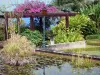 留尼旺植物园 - 池塘的睡莲和域的植物