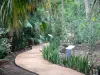 留尼旺植物园 - 探索庄园的植物