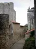 的Chauvigny - 工业考古区，上城（中世纪城市）胡同和圣皮埃尔学院教堂（罗马式教堂）的Donjon de Gouzon（或Gouzon城堡）