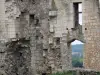 的Chauvigny - 城堡城堡（或主教城堡）的遗迹