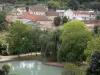 的Chauvigny - 公共花园的树和池塘，城市的房子