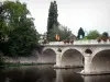 的Chauvigny - 横跨维埃纳河，树的开花的桥梁