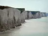 皮卡第的风景 - 粉笔和大海的悬崖（频道）