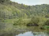 皮卡第的风景 - 高级索姆河的池塘，植被和树木