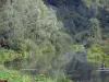 皮卡第的风景 - 高级索姆河的池塘，植被和树木