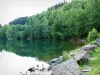 石の湖-ブレークスルー - 緑に囲まれた湖