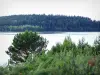 石の湖-ブレークスルー - 緑に囲まれた湖の眺め