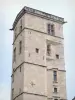 第戎 - 菲利普公爵和勃艮第各州宫殿的好塔