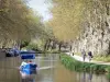 米迪运河 - 在水路的小船航行，拖曳路线的步行者和悬铃树