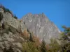 红针 - 树木在秋天，岩石和Aiguilles Rouges地块（Aiguilles Rouges自然保护区）的悬崖的颜色