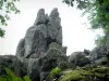 纽恩特尔斯坦 - 岩石山顶和树在多雨天气