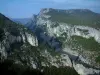 维登区域自然公园 - 维登峡谷的树木，灌木丛和石灰石悬崖（岩面）