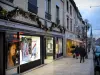 自由城索恩河畔 - Rue Nationale的房子和商店，钟楼和Notre-Dame-des-Marais的尖顶在后台大学