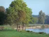 艾因的风景 - 草甸和树在Dombes池塘的边缘