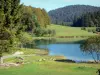 艾因的风景 - Genin Lake被草地和树木包围;在Upper Bugey