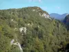 艾因的风景 - Haut-Jura区域自然公园（汝拉山脉）：树木覆盖的山脉